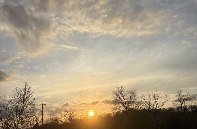 The Forty Days and Nightstands