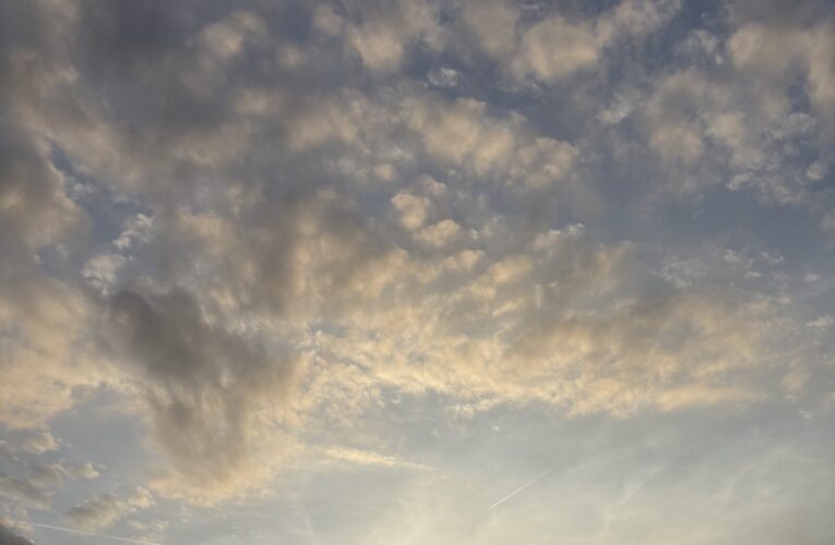 Transformative Spirituality of Consciousness